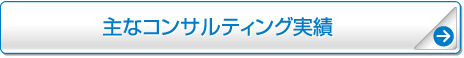 主なコンサルティング実績